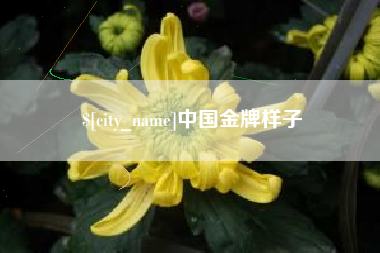 滁州中国金牌样子