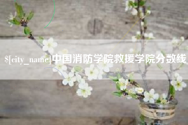 滁州中国消防学院救援学院分数线