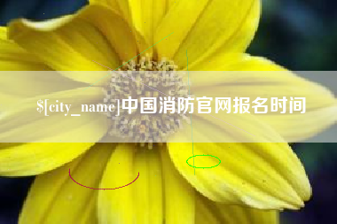 滁州中国消防官网报名时间