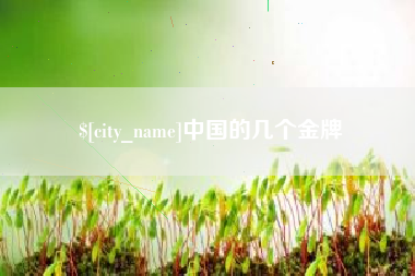 滁州中国的几个金牌