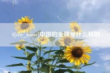 滁州中国的金牌是什么样的