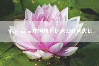 滁州中国执行信息公开网失信