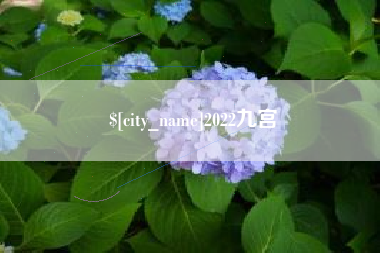 滁州2022九宫
