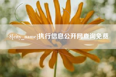 滁州执行信息公开网查询免费