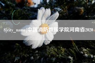 滁州中国消防救援学院河南省2020