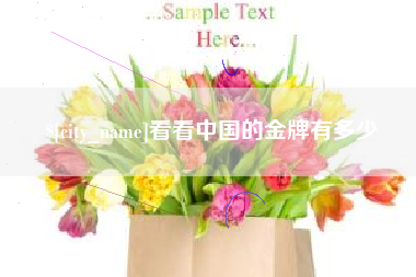 滁州看看中国的金牌有多少